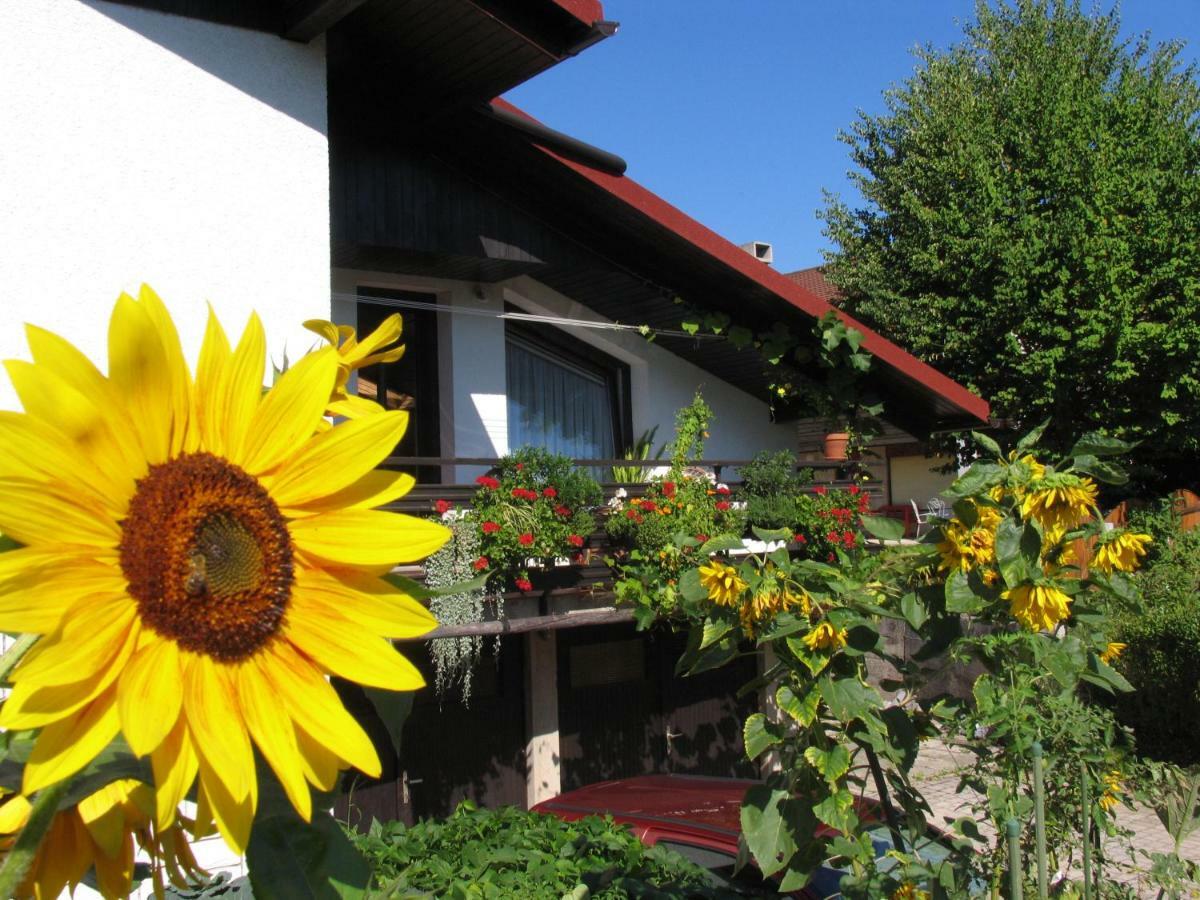 Apartment Mala Bled Exterior foto